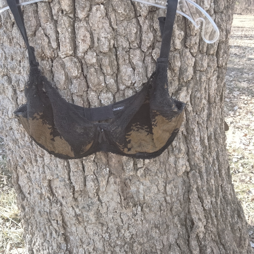 Charnos Underwire Bra in size 32F